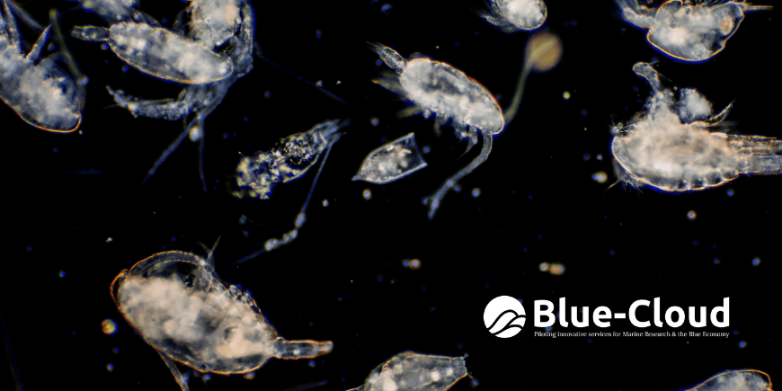 ecotaxa_plankton_irisson_blue-cloud