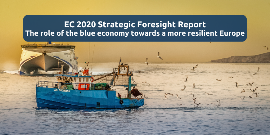 europe strategic foresight report blue economy banner