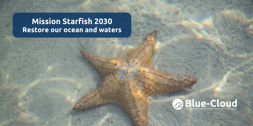 mission starfish 2030 blue cloud