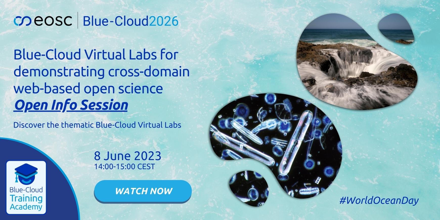 Blue-Cloud Virtual Labs