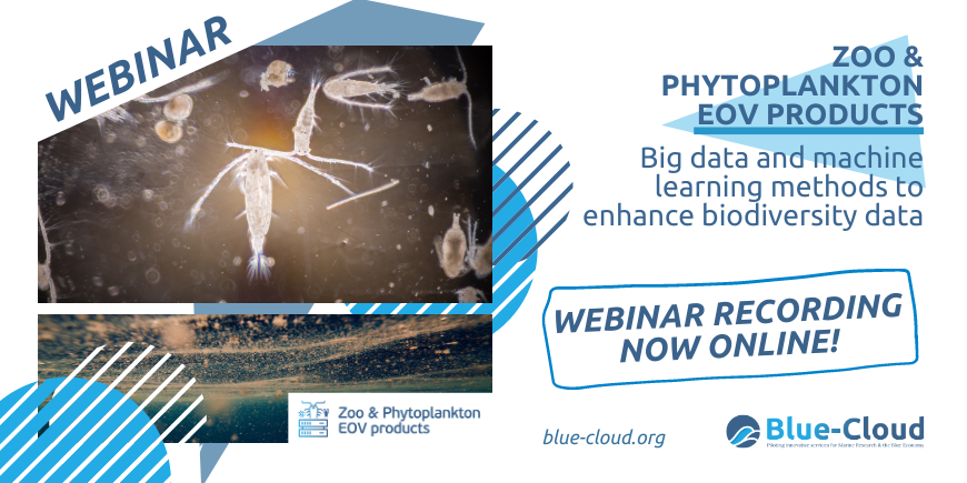 zoo phytoplankton eov products webinar banner