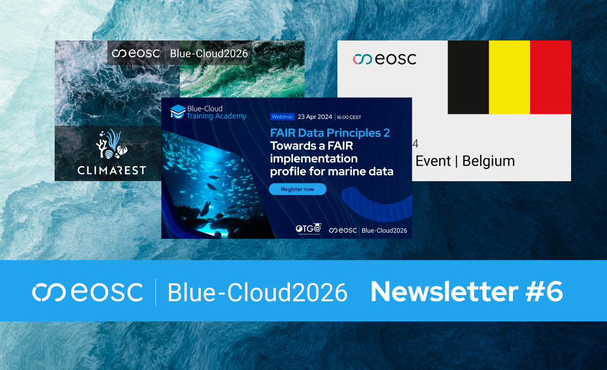 Newsletter #6