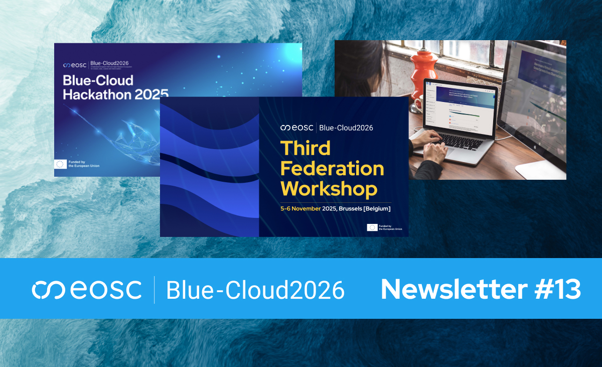 Newsletter 13