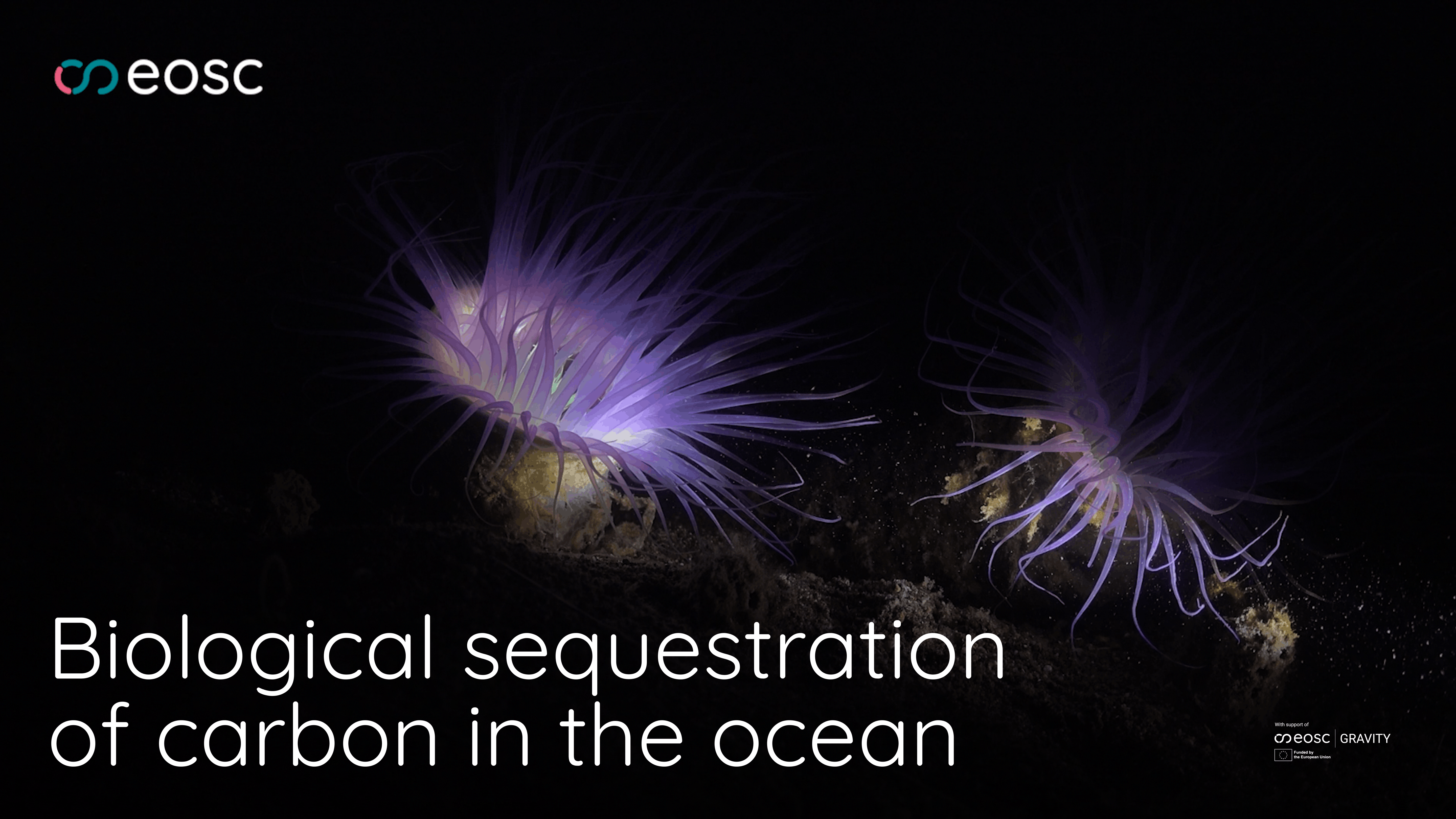 eosc marine use cases banner 