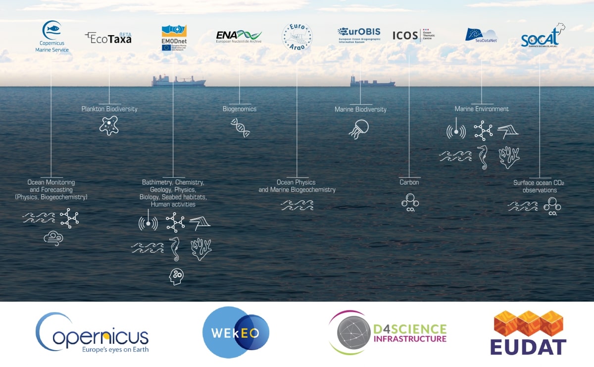 Blue-Cloud Data Infrastructures